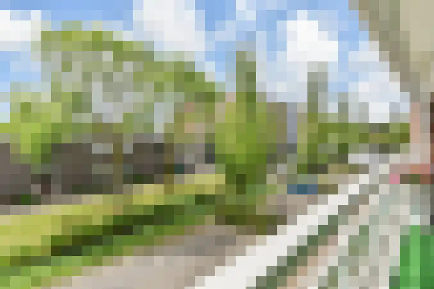 Azaleapark 21 Wateringen thumbnail 37