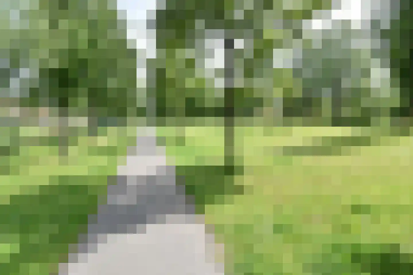 Azaleapark 21 Wateringen thumbnail 54