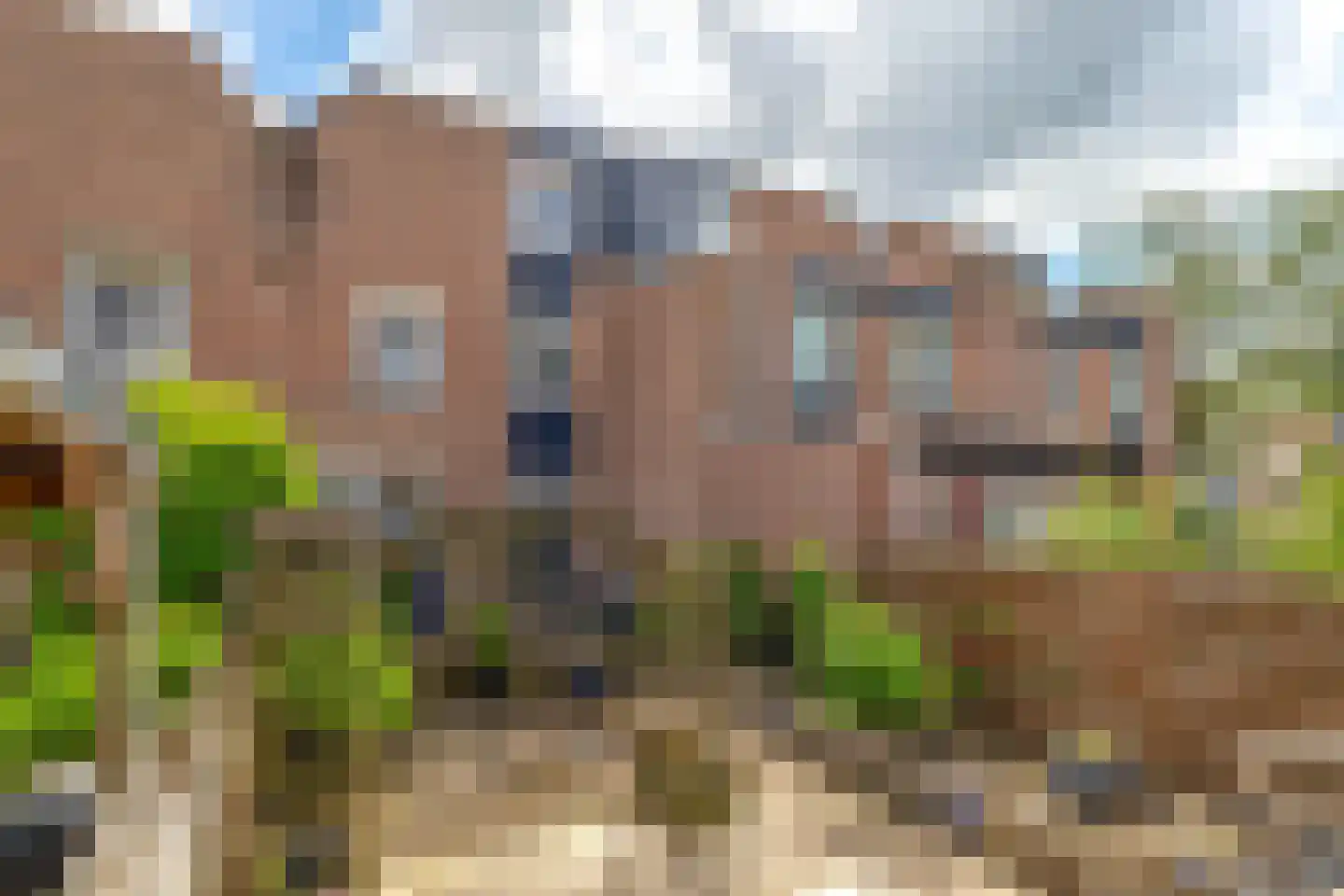 Azaleapark 22 Zoetermeer thumbnail 21