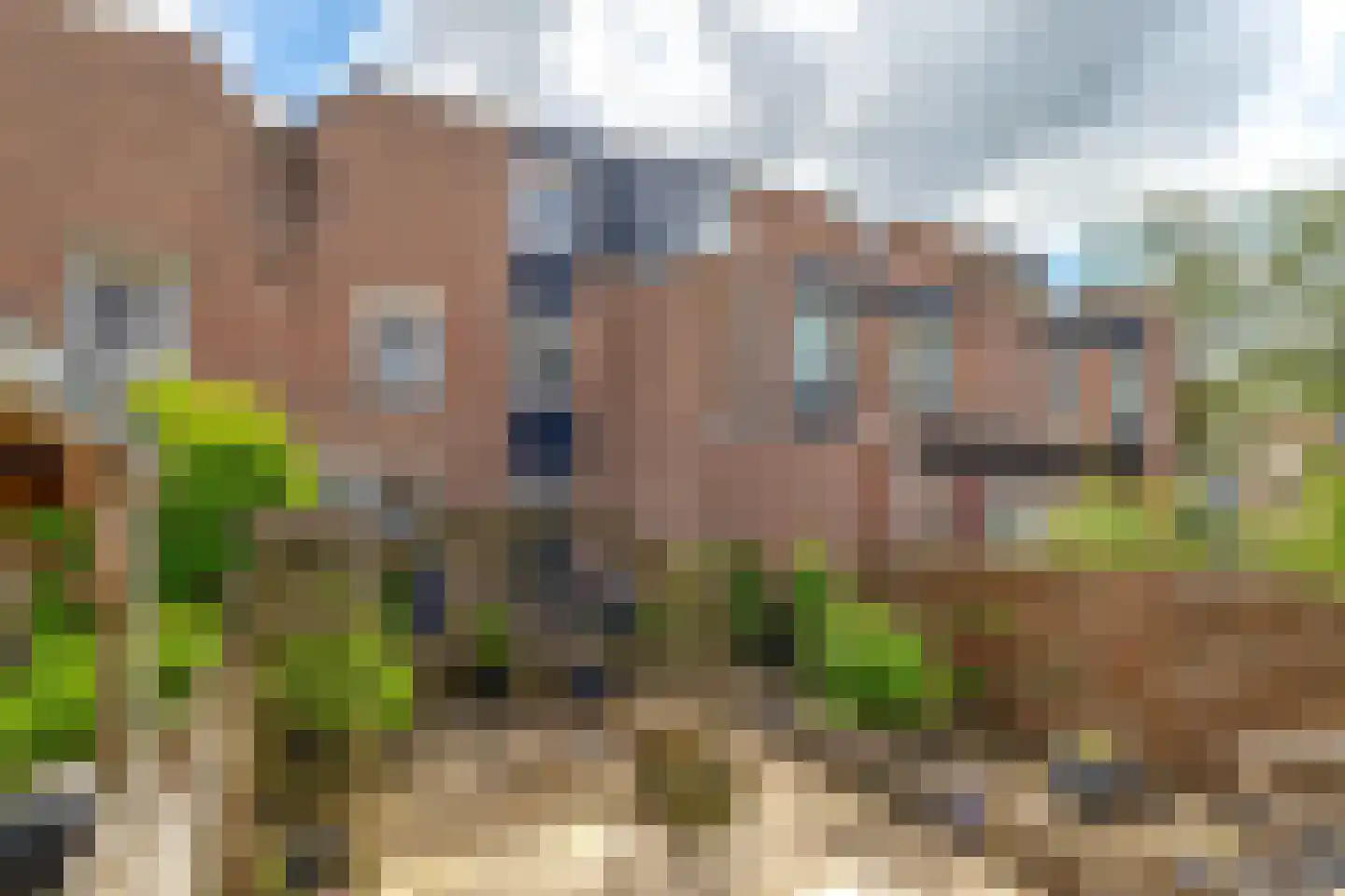 Azaleapark 22 Zoetermeer thumbnail 19