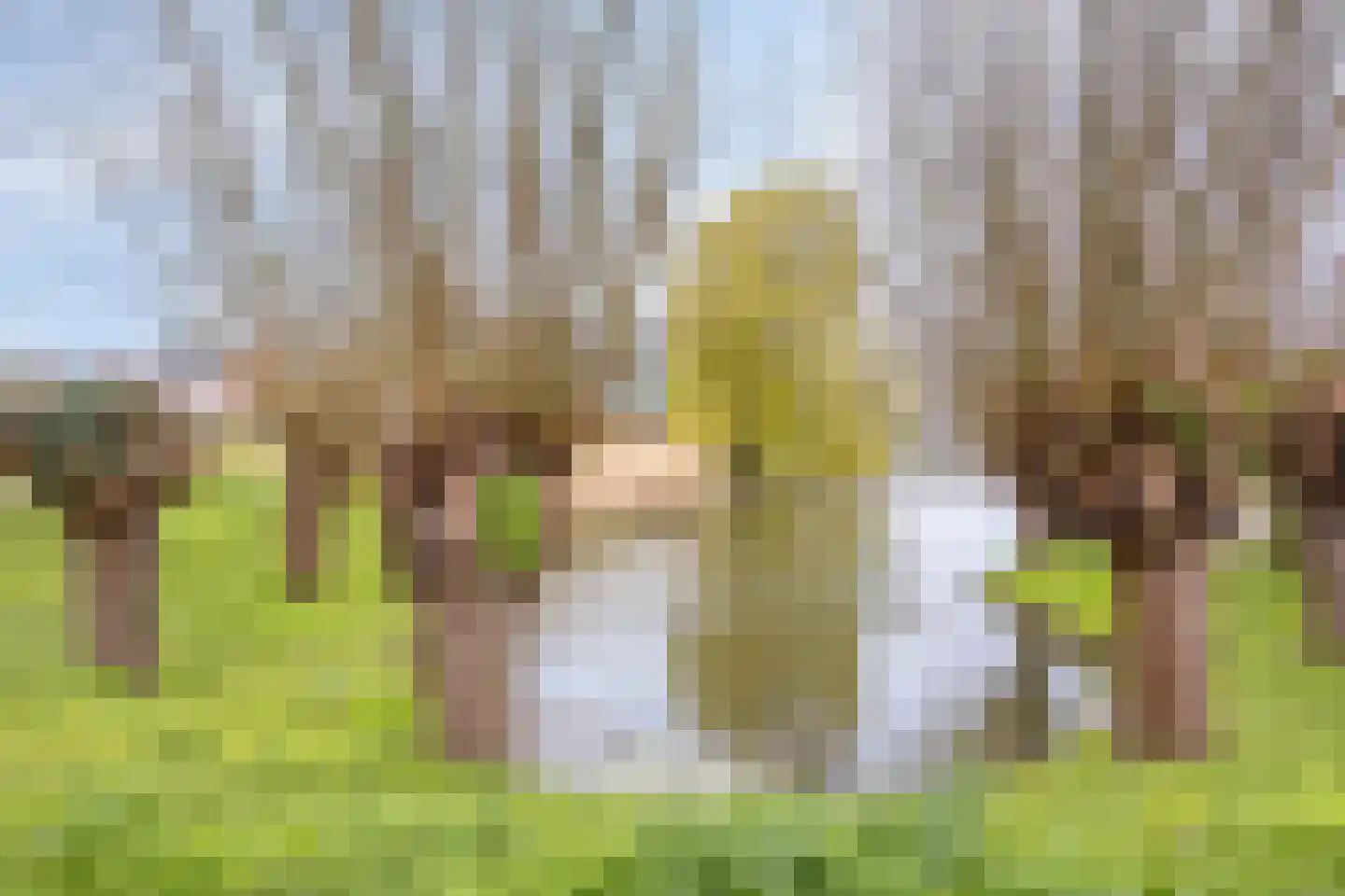 Azaleapark 34 Zoetermeer thumbnail 35