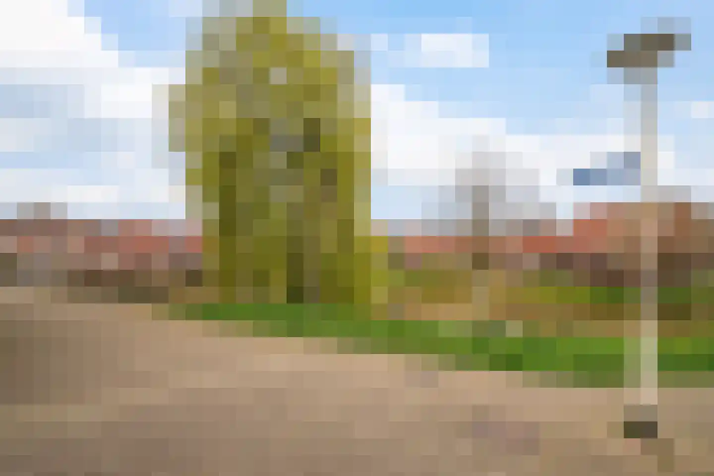 Azaleapark 68 Zoetermeer thumbnail 35