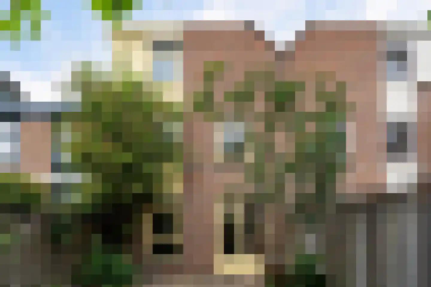 Azaleapark 76 Zoetermeer thumbnail 24