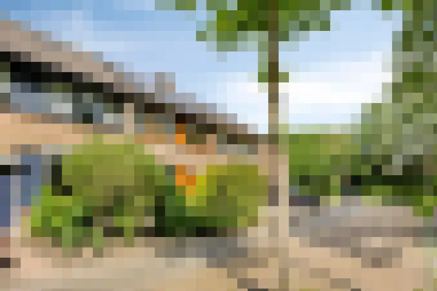 Azalearing 54 Zundert thumbnail 6