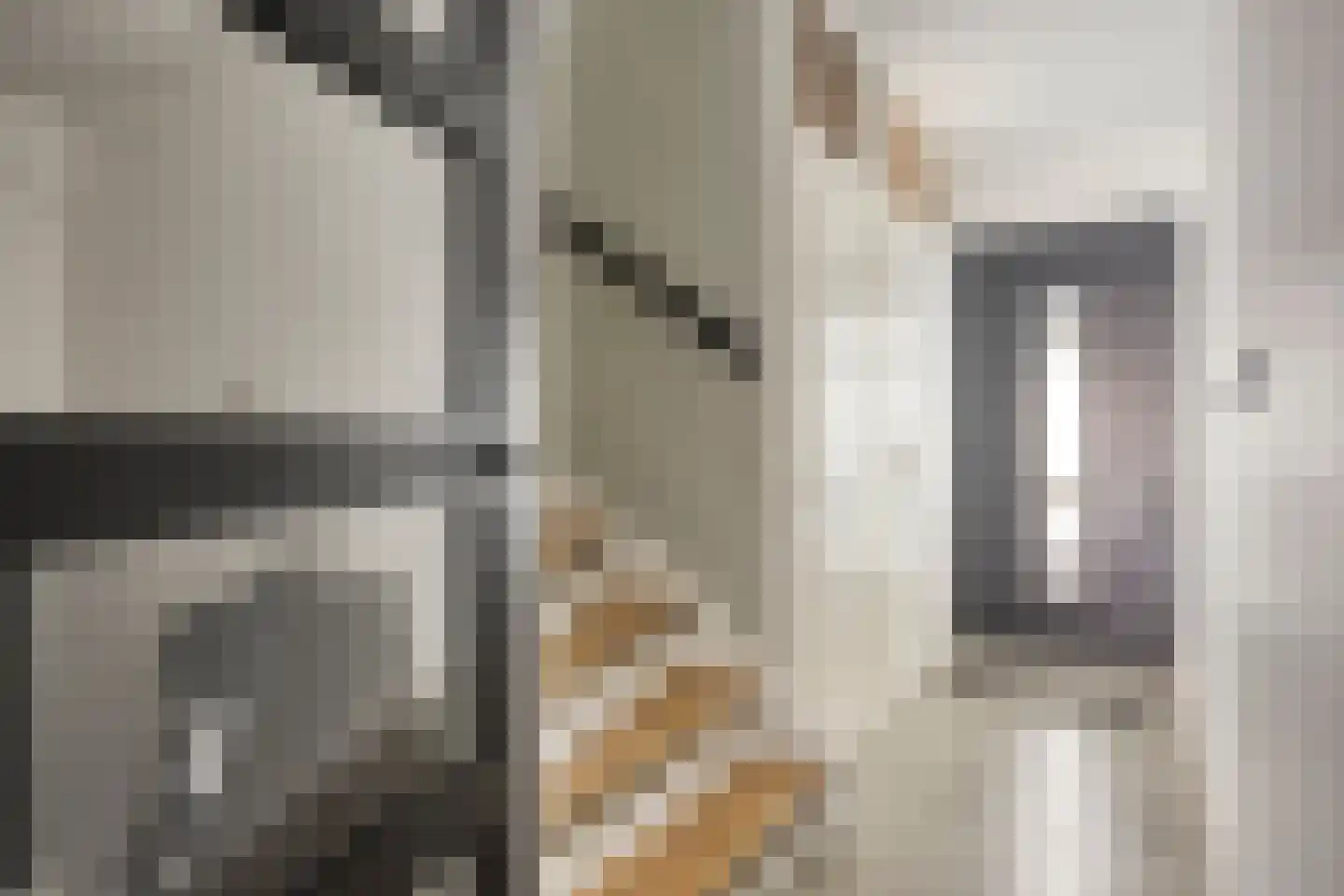 Azalearing 54 Zundert thumbnail 8