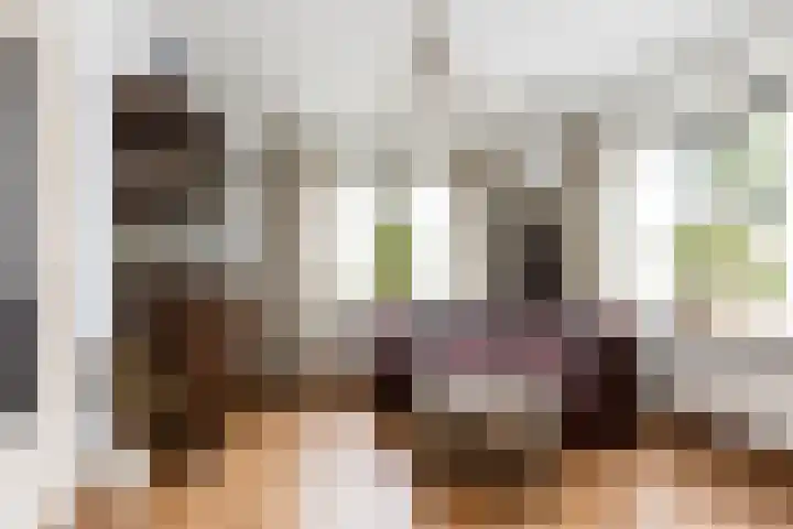 Azaleastraat 1 a Wijk en Aalburg thumbnail 25