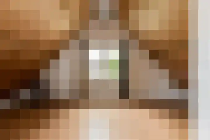 Azaleastraat 1 a Wijk en Aalburg thumbnail 34