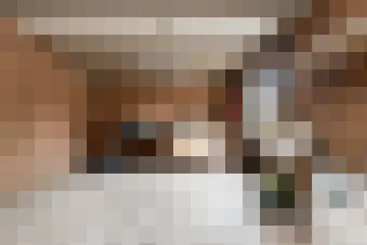Azaleastraat 1 a Wijk en Aalburg thumbnail 38
