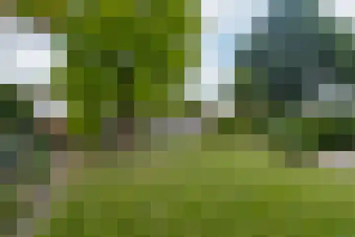 Azaleastraat 1 a Wijk en Aalburg thumbnail 44