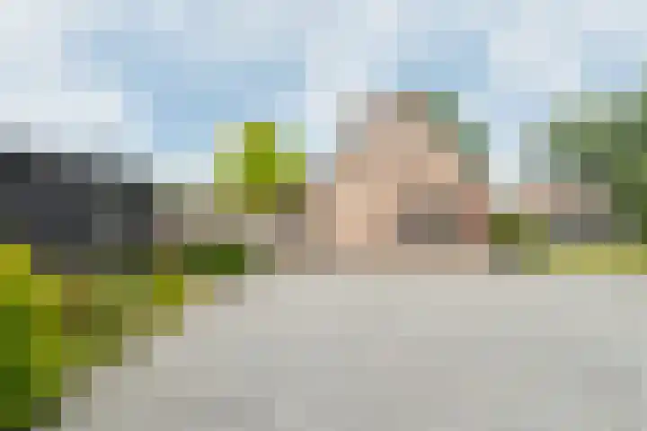 Azaleastraat 1 a Wijk en Aalburg thumbnail 51