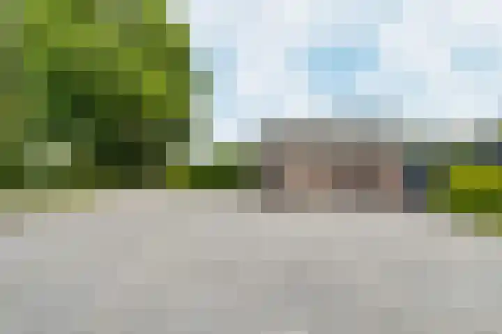 Azaleastraat 1 a Wijk en Aalburg thumbnail 52