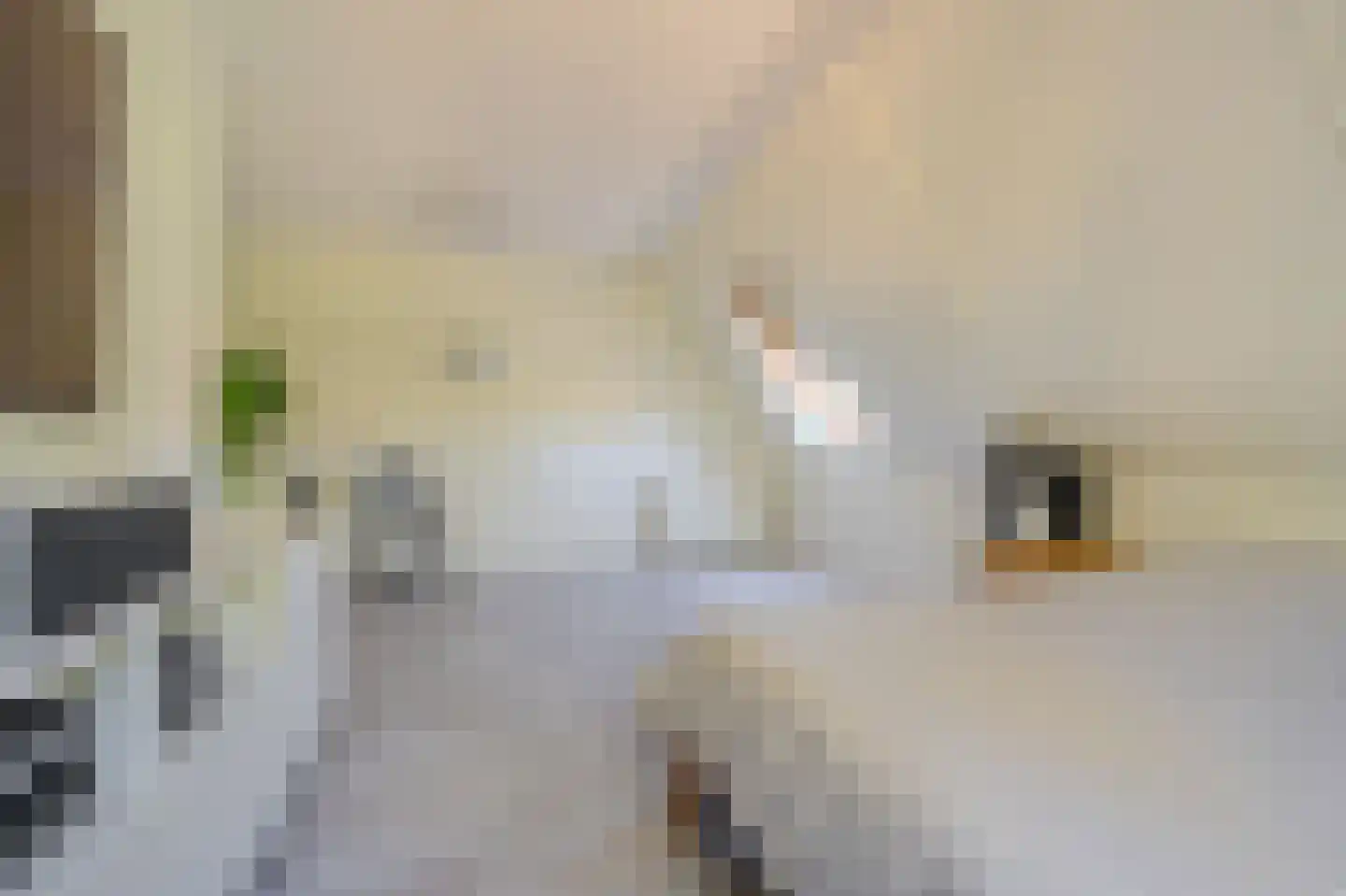 Azaleastraat 1 B Winschoten thumbnail 35