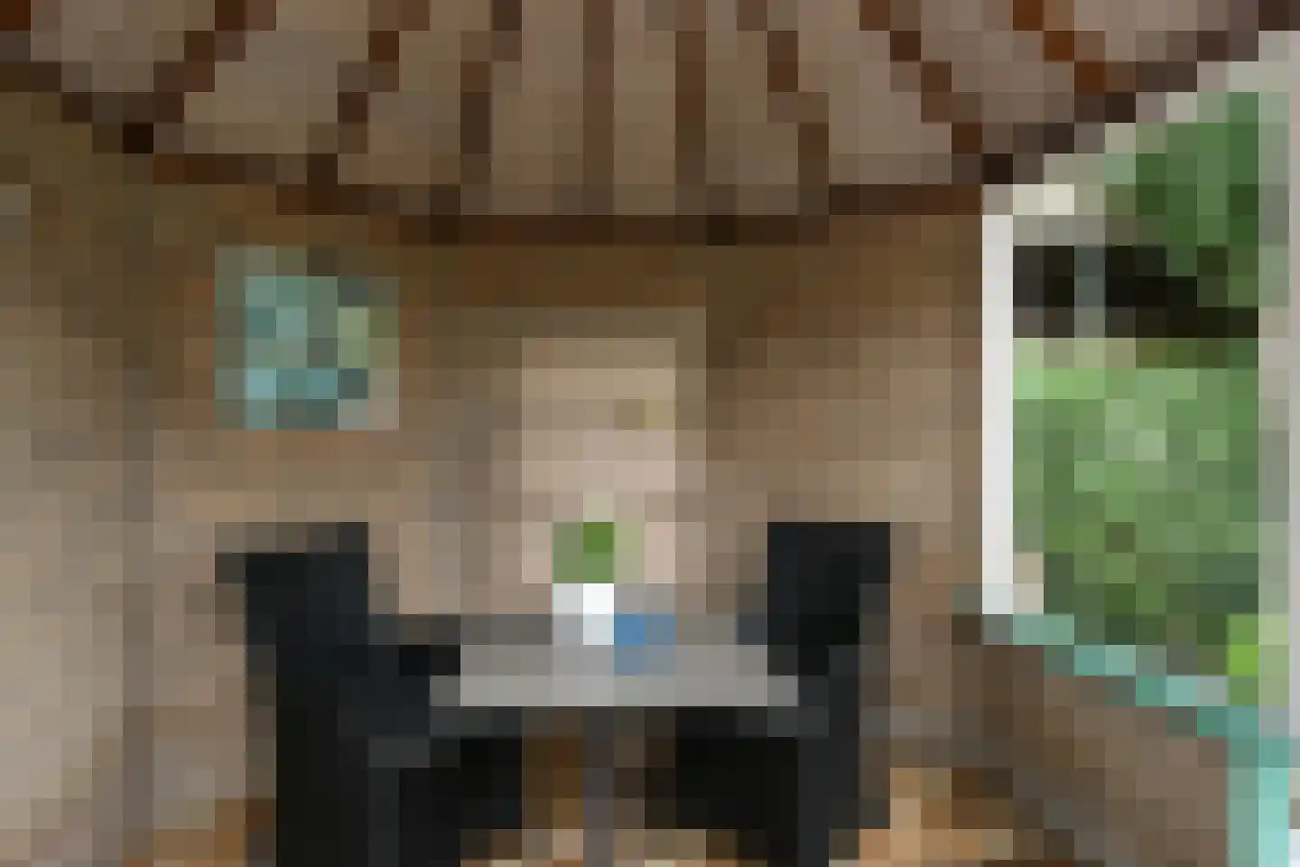 Azaleastraat 1 Nederweert thumbnail 28