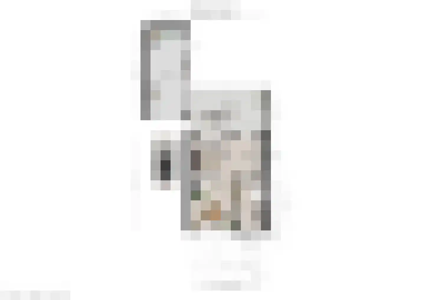 Azaleastraat 1 Nederweert thumbnail 32