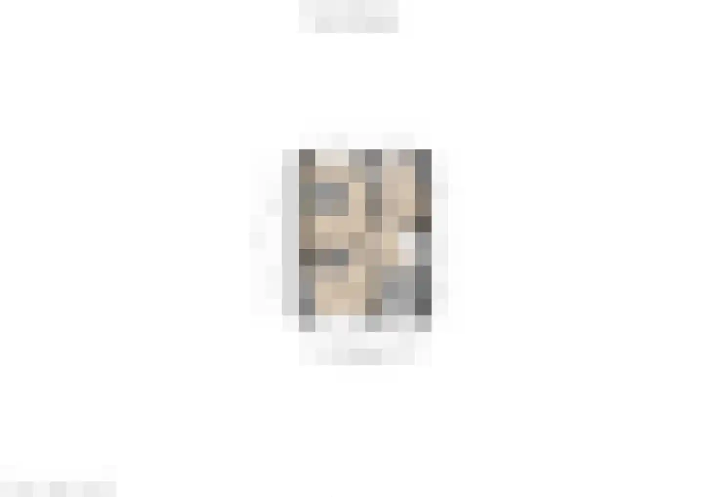 Azaleastraat 1 Nederweert thumbnail 33