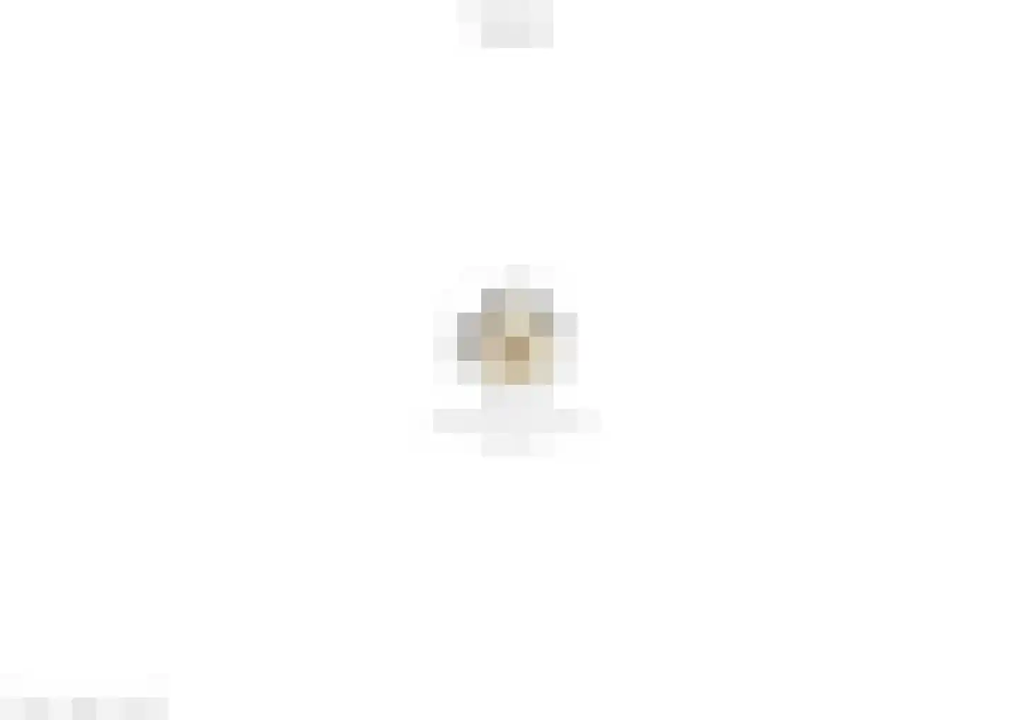 Azaleastraat 1 Nederweert thumbnail 35