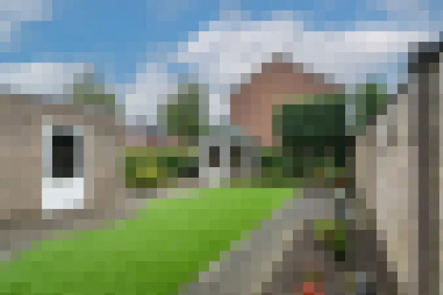 Azaleastraat 1 Nederweert thumbnail 4