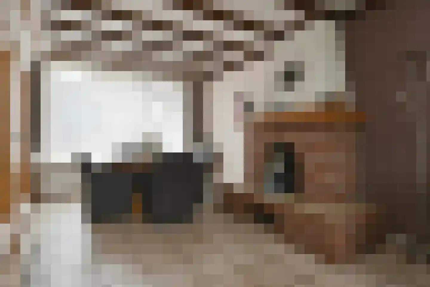Azaleastraat 1 Nederweert thumbnail 7