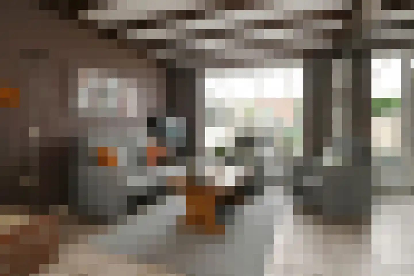 Azaleastraat 1 Nederweert thumbnail 9