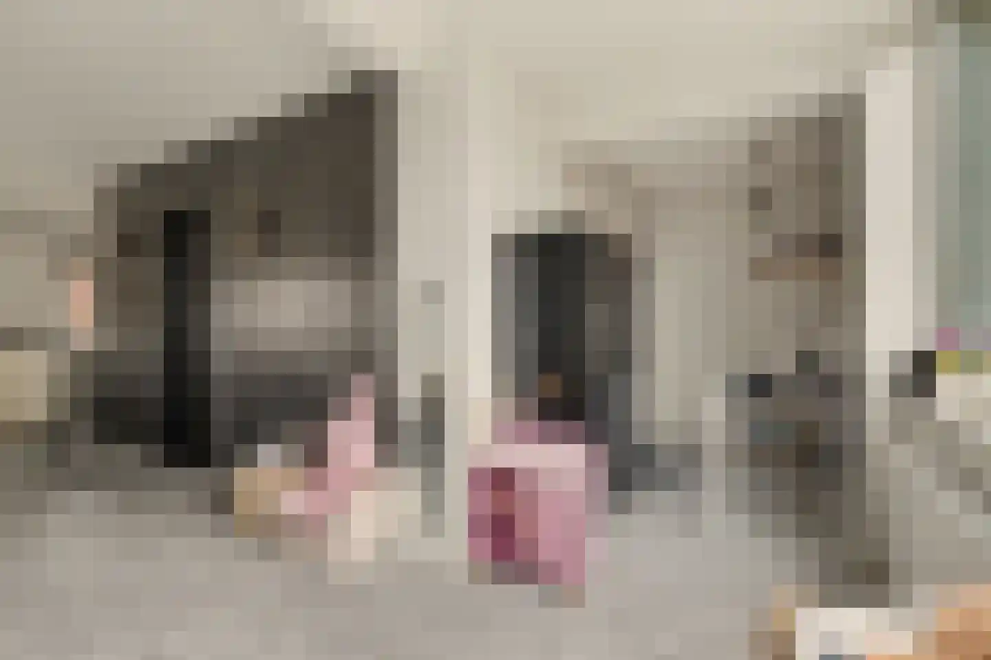 Azaleastraat 1 Putte thumbnail 11