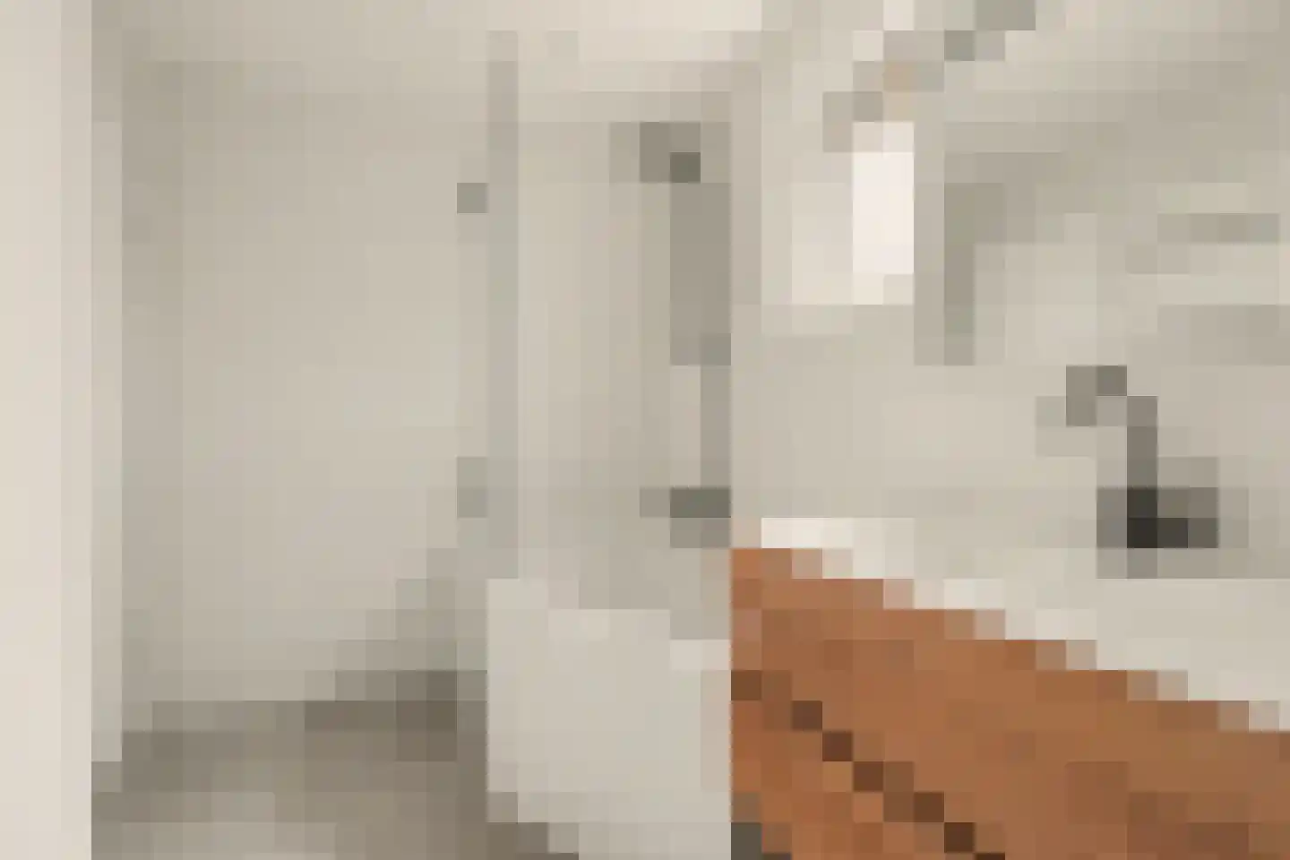 Azaleastraat 1 Putte thumbnail 20