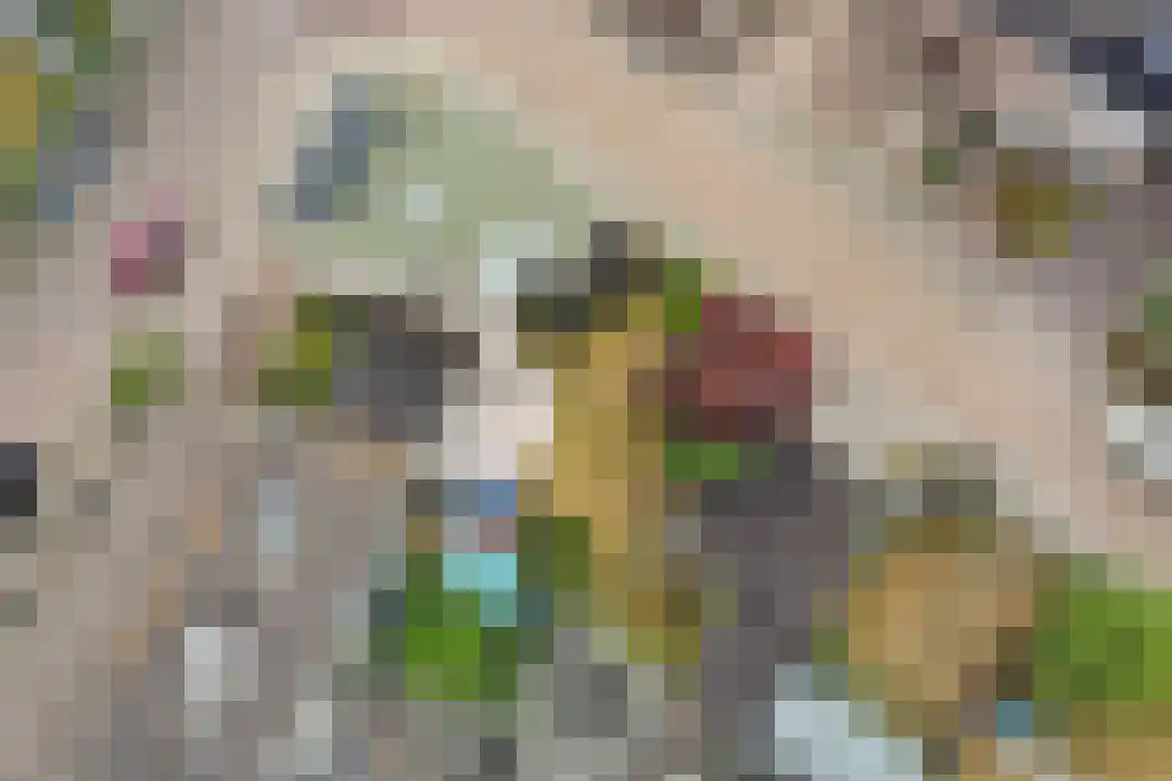 Azaleastraat 1 Putte thumbnail 28