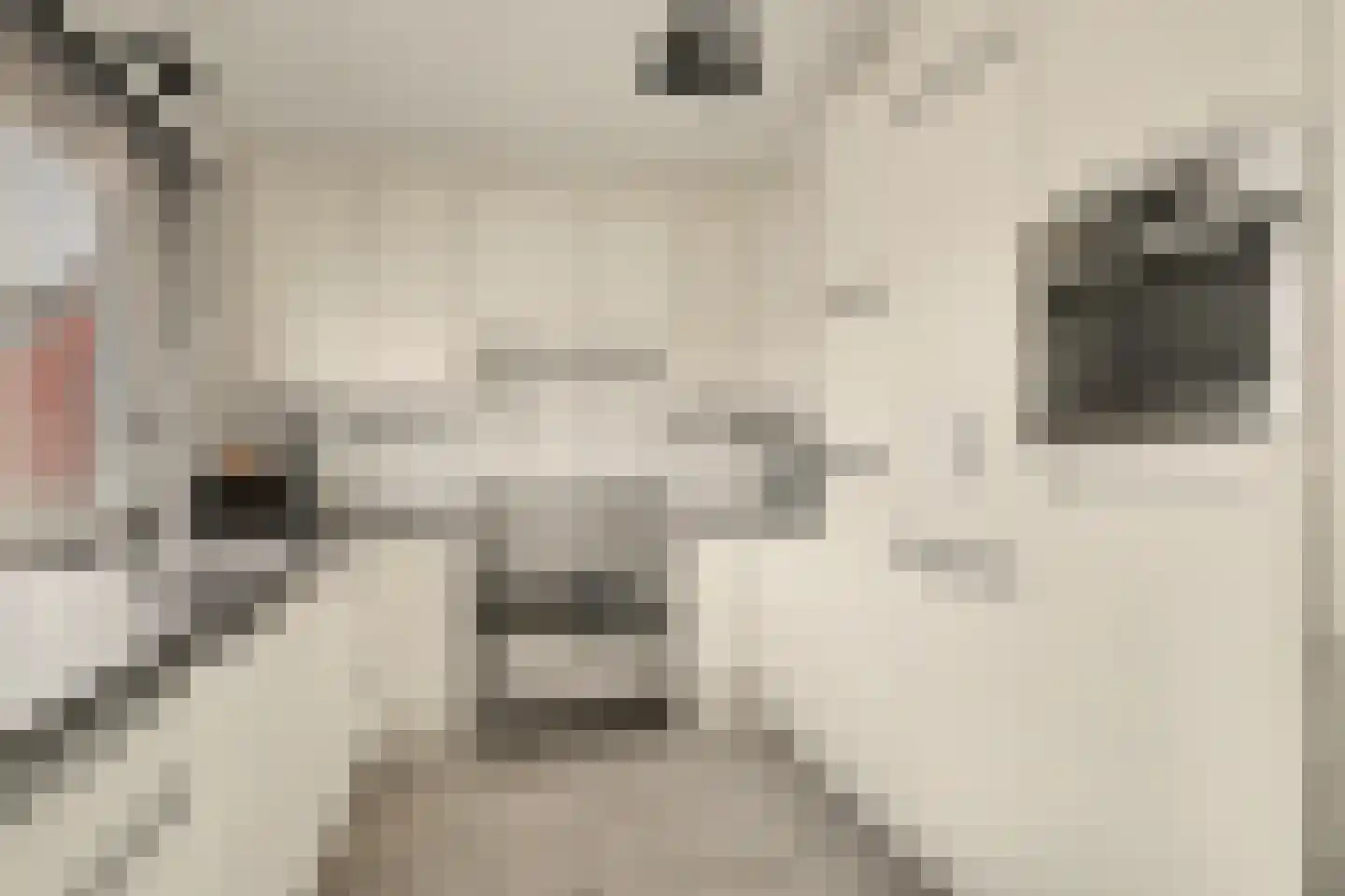 Azaleastraat 1 Putte thumbnail 4