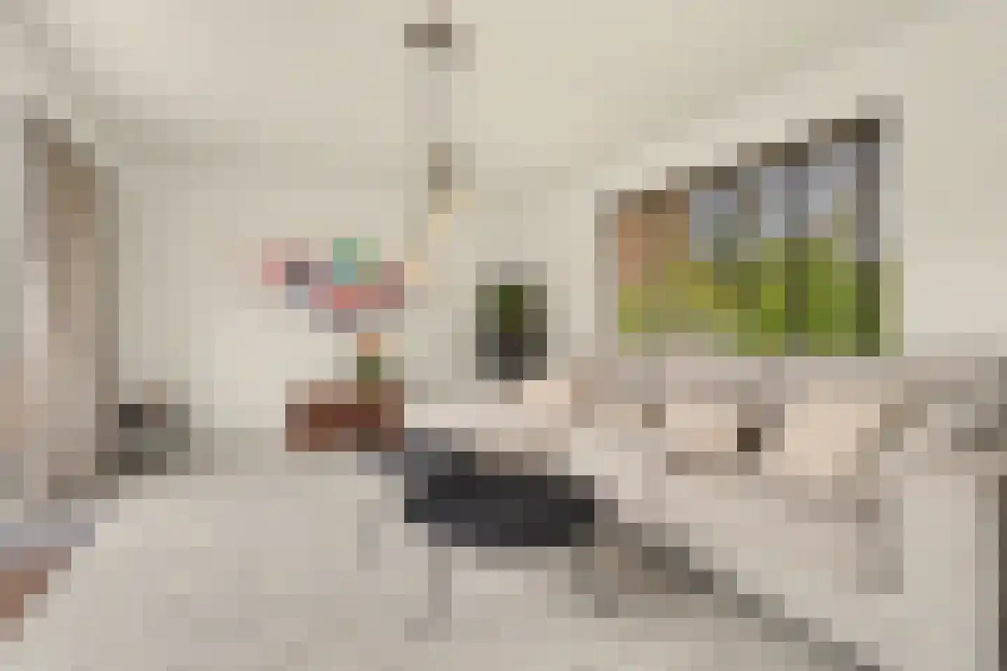 Azaleastraat 1 Putte thumbnail 5