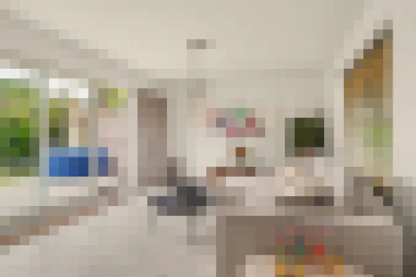 Azaleastraat 1 Putte thumbnail 6