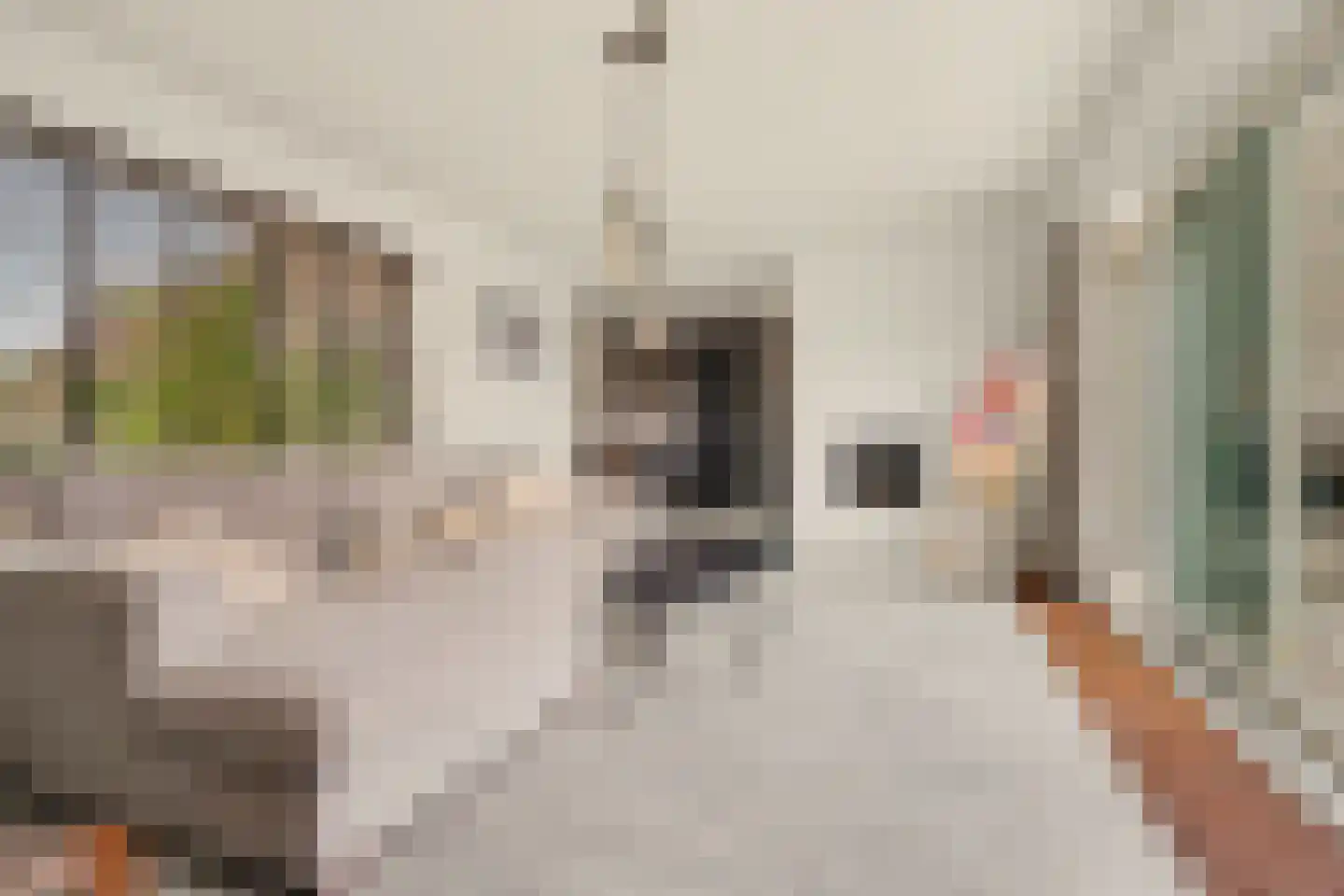 Azaleastraat 1 Putte thumbnail 7