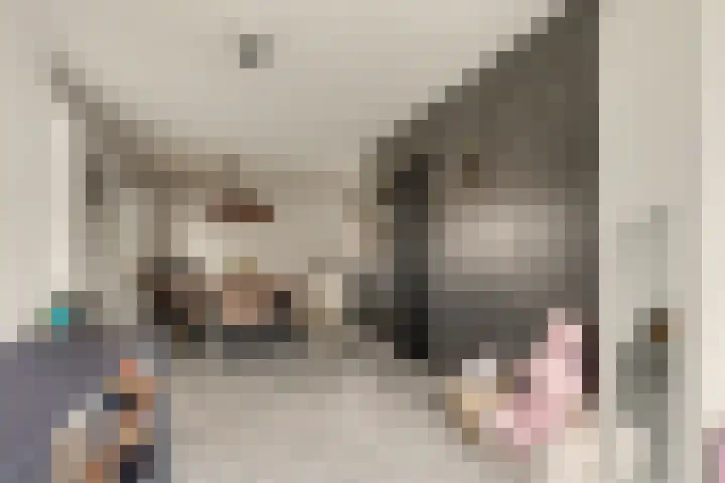 Azaleastraat 1 Putte thumbnail 8