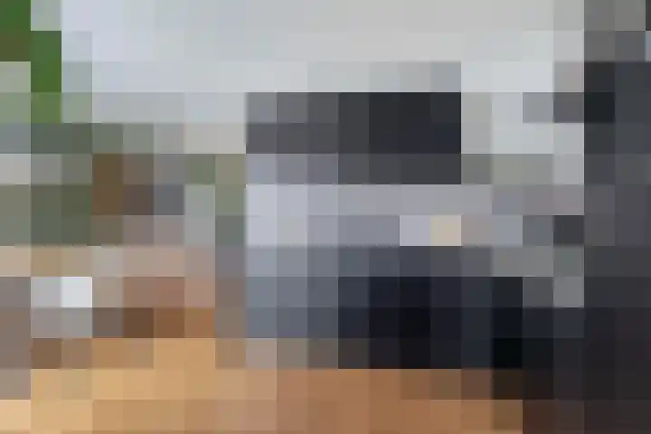 Azaleastraat 1 Winschoten thumbnail 11