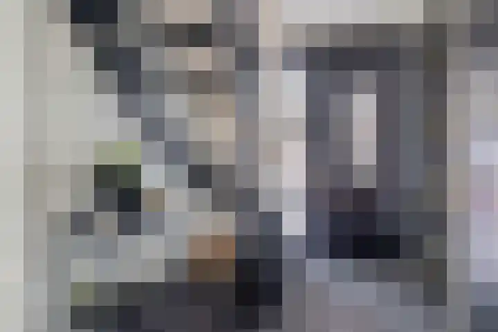 Azaleastraat 1 Winschoten thumbnail 13