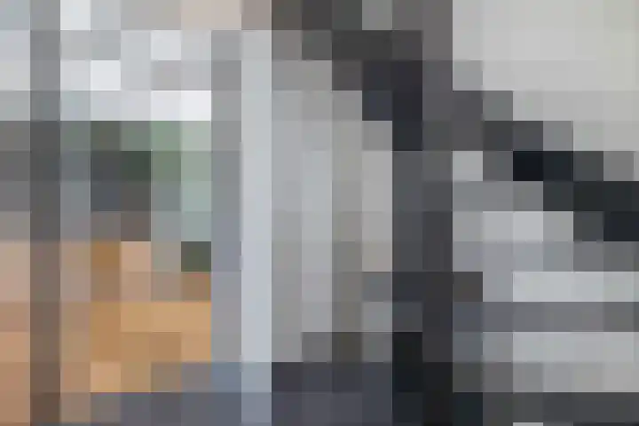 Azaleastraat 1 Winschoten thumbnail 14