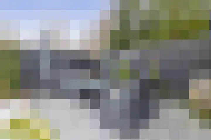 Azaleastraat 1 Winschoten thumbnail 20