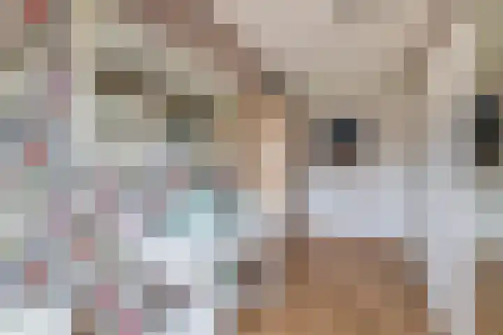 Azaleastraat 1 Winschoten thumbnail 25