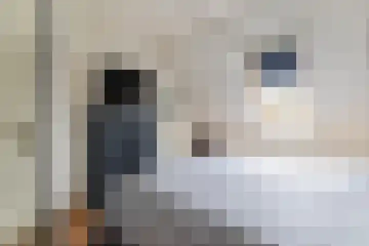 Azaleastraat 1 Winschoten thumbnail 26