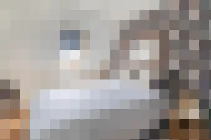 Azaleastraat 1 Winschoten thumbnail 27