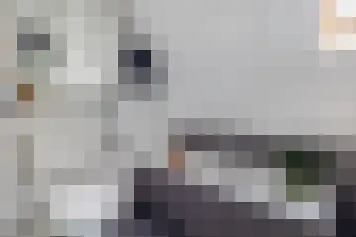 Azaleastraat 1 Winschoten thumbnail 29