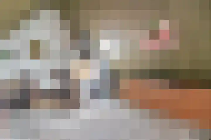 Azaleastraat 1 Winschoten thumbnail 31