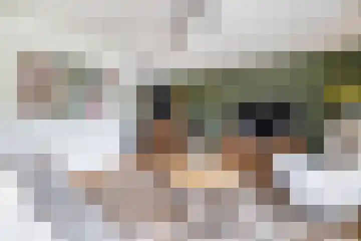 Azaleastraat 1 Winschoten thumbnail 4