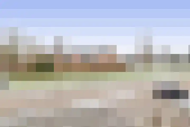 Azaleastraat 1 Winschoten thumbnail 41