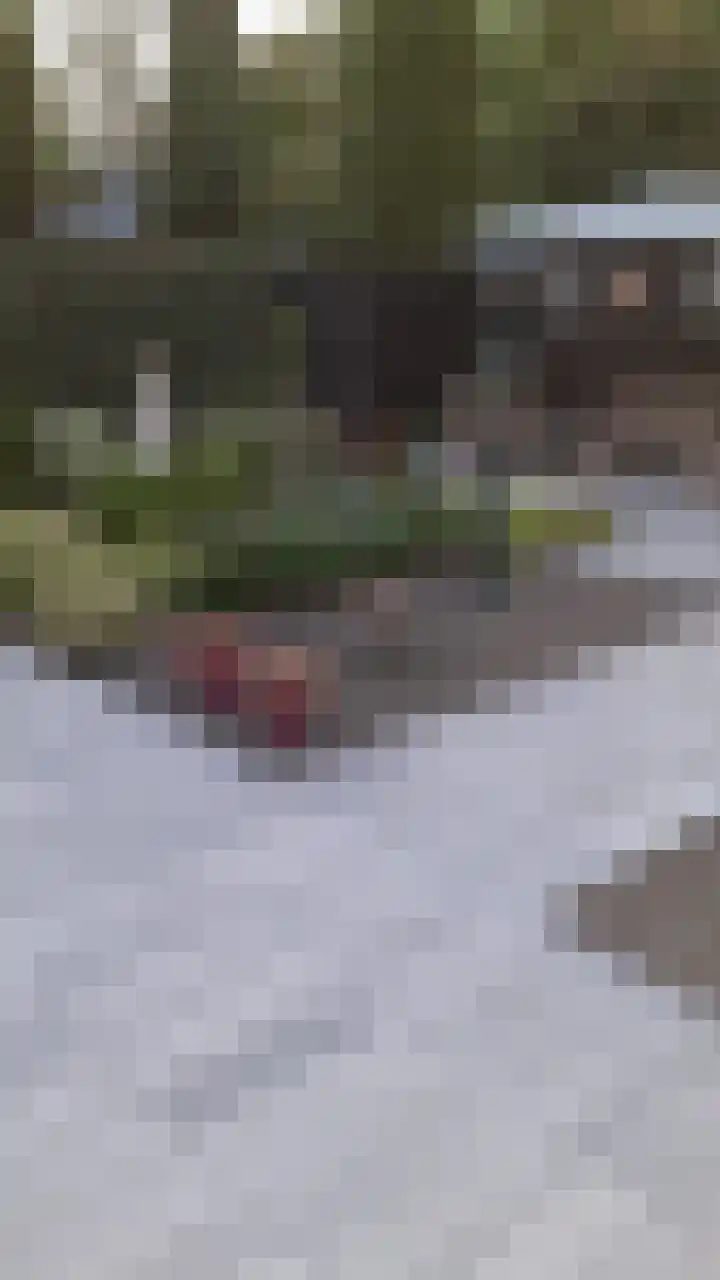 Azaleastraat 1 Winschoten thumbnail 42