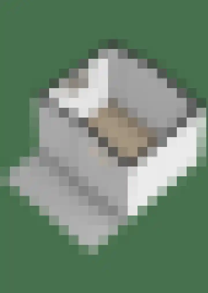Azaleastraat 1 Winschoten thumbnail 50