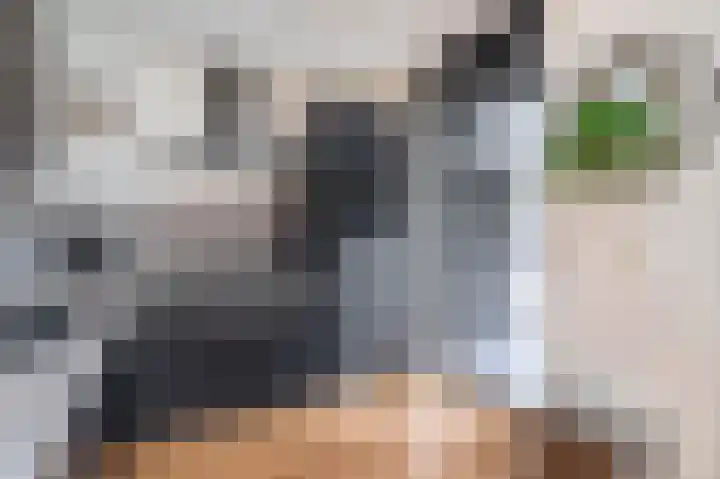 Azaleastraat 1 Winschoten thumbnail 8