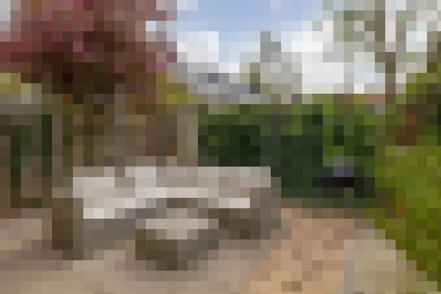 Azaleastraat 10 B Rotterdam thumbnail 12