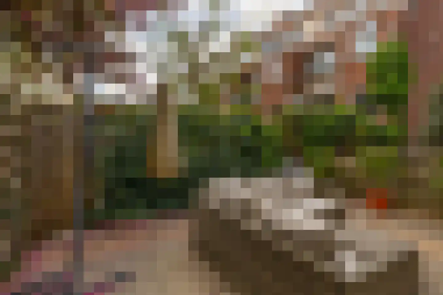 Azaleastraat 10 B Rotterdam thumbnail 13