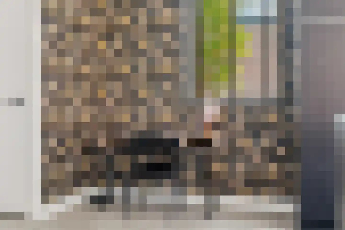 Azaleastraat 10 Sint-Oedenrode thumbnail 9