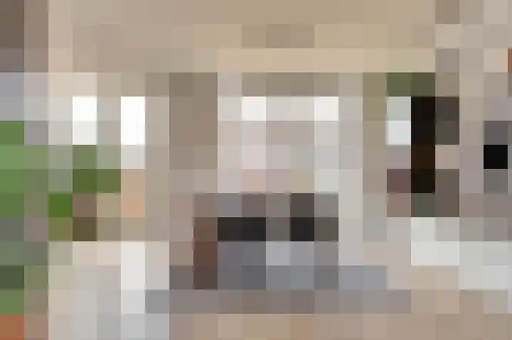 Azaleastraat 10 Stolwijk thumbnail 11