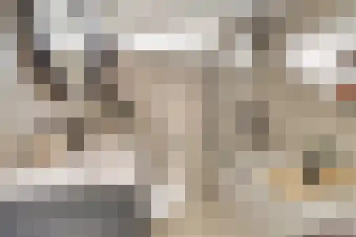 Azaleastraat 10 Stolwijk thumbnail 5